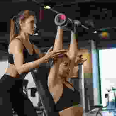 אתר וורדפרס חדש